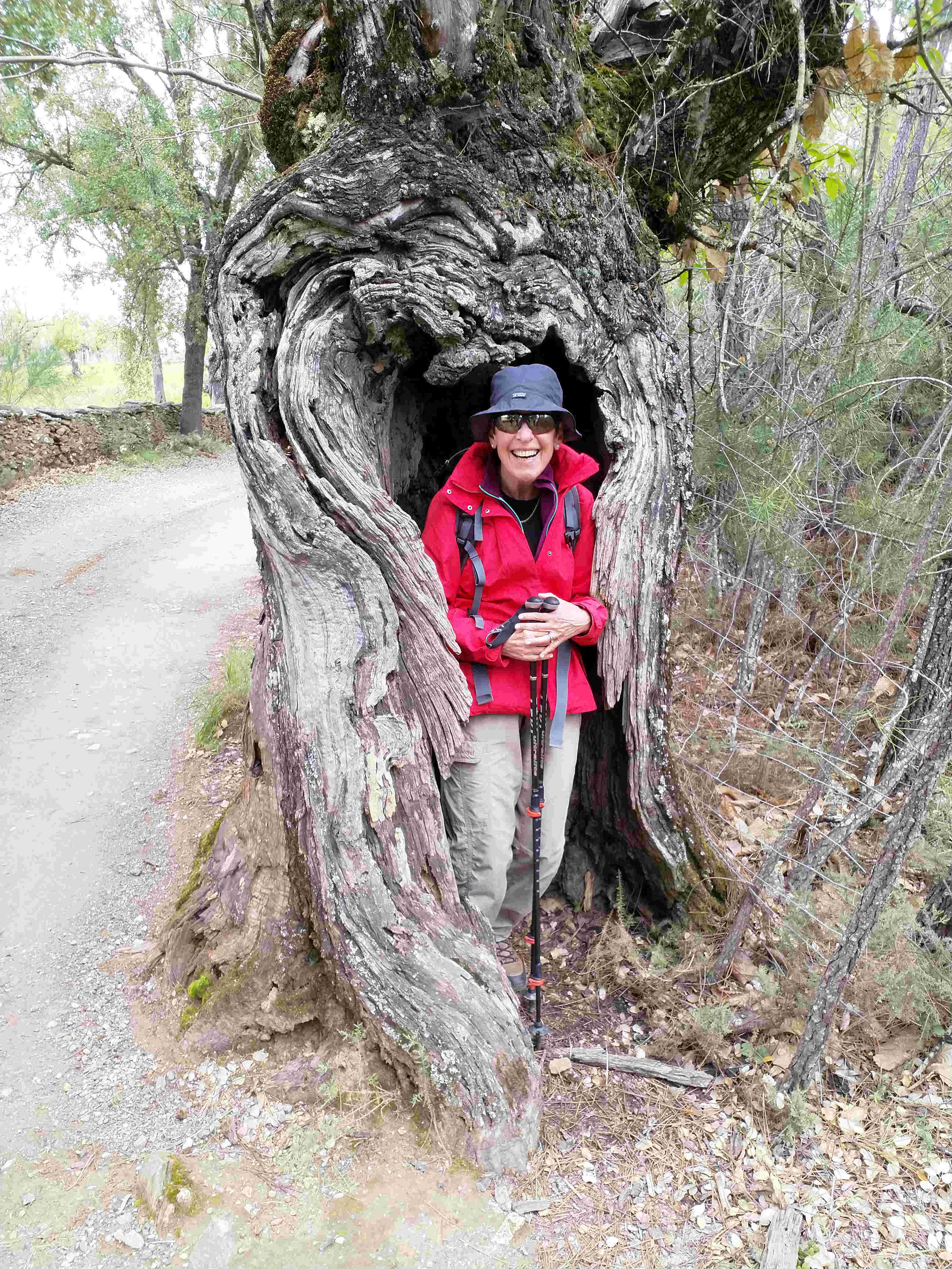 tres alemanes en el Desafío Patanegra